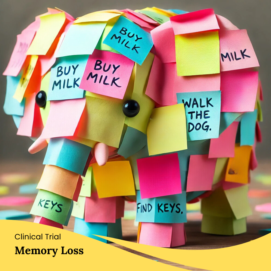 Memory Loss Clinical Trial Christchurch