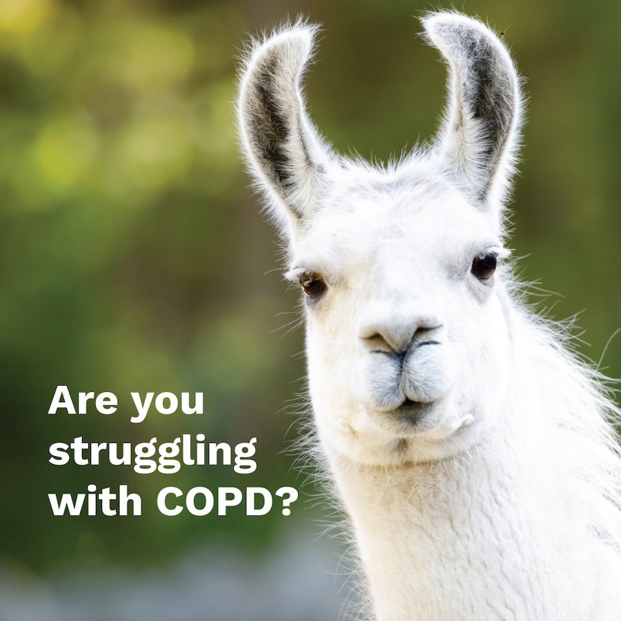 COPD Clinical Trial
